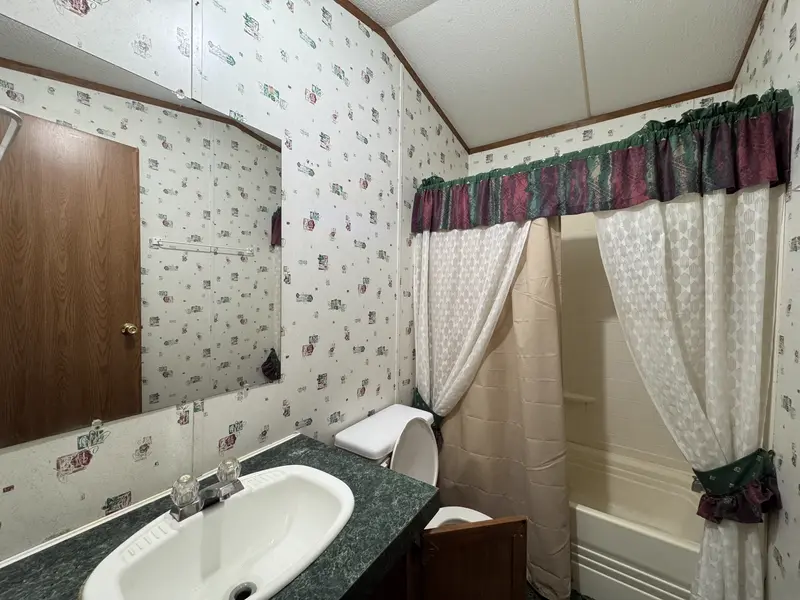 Hall bathroom with vanity and tub